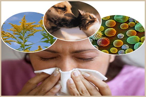 allergie bedingte nasenverstupfung