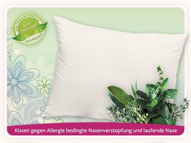 2:1-Kissen gegen Allergien bzw. Erkältung bedingte Nasenverstopfung