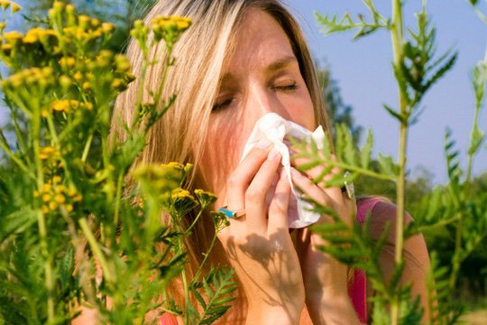 symptome-einer-allergie-bedingte-nasenverstopfung