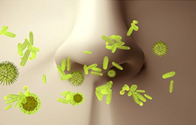 Bakterien und Viren in der Nase