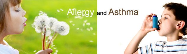 allergie-und-asthma